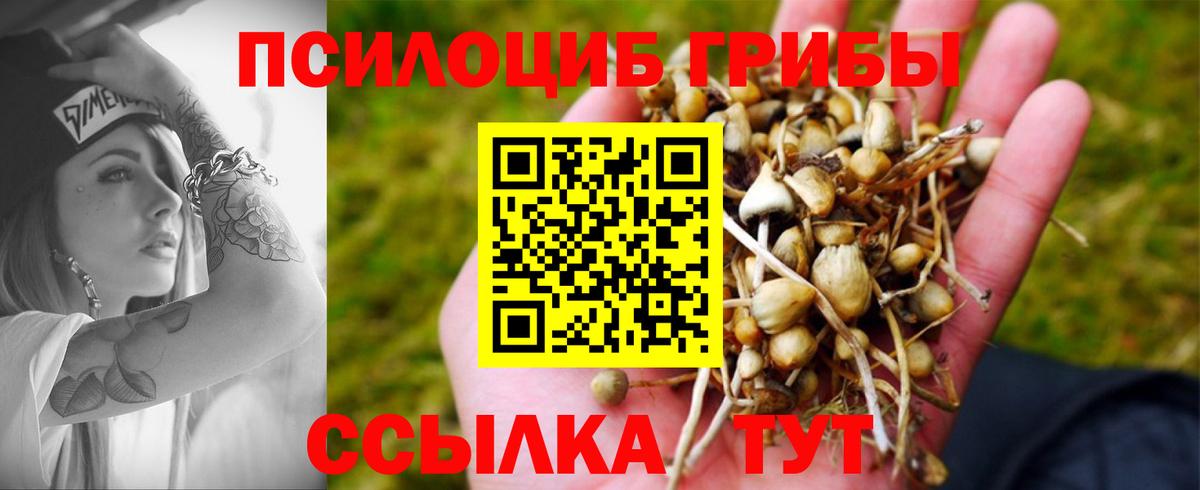Галлюциногенные грибы Magic Shrooms Подольск