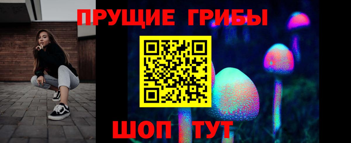 Псилоцибиновые грибы GOLDEN TEACHER  Вход с VPN  Подольск  Псилоцибиновые грибы мицелий 